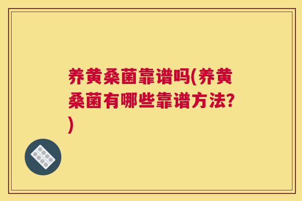 养黄桑菌靠谱吗(养黄桑菌有哪些靠谱方法?) 养黄桑菌靠谱吗(养黄桑菌有哪些靠谱方法?)