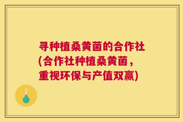 寻种植桑黄菌的合作社(合作社种植桑黄菌,重视环保与产值双赢) 寻种植桑黄菌的合作社(合作社种植桑黄菌,重视环保与产值双赢)