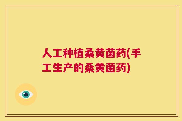 人工种植桑黄菌药(手工生产的桑黄菌药) 人工种植桑黄菌药(手工生产的桑黄菌药)