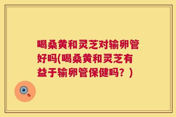 喝桑黄和灵芝对输卵管好吗(喝桑黄和灵芝有益于输卵管保健吗?) 喝桑黄和灵芝对输卵管好吗(喝桑黄和灵芝有益于输卵管保健吗?)