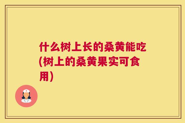 什么树上长的桑黄能吃(树上的桑黄果实可食用) 什么树上长的桑黄能吃(树上的桑黄果实可食用)