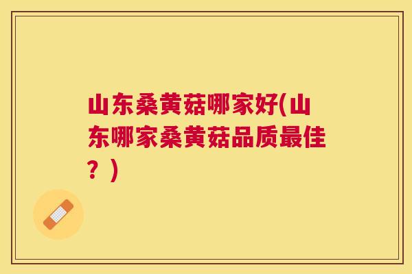 山东桑黄菇哪家好(山东哪家桑黄菇品质佳?) 山东桑黄菇哪家好(山东哪家桑黄菇品质佳?)