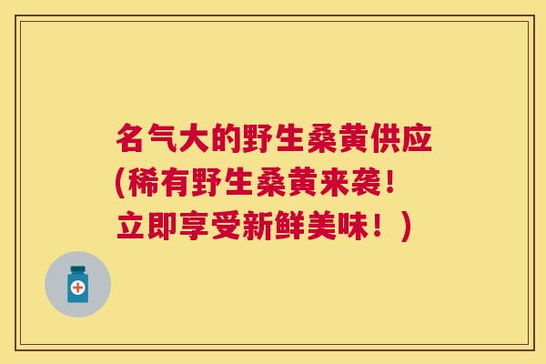 名气大的野生桑黄供应(稀有野生桑黄来袭!立即享受新鲜美味!) 名气大的野生桑黄供应(稀有野生桑黄来袭!立即享受新鲜美味!)