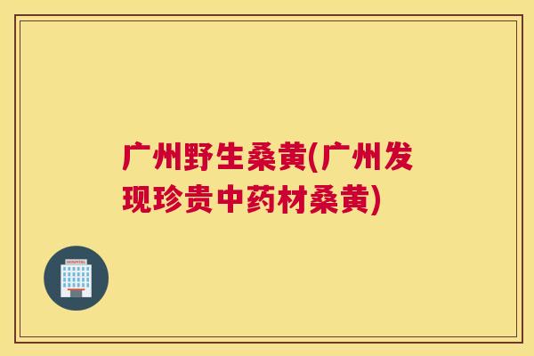 广州野生桑黄(广州发现珍贵材桑黄) 广州野生桑黄(广州发现珍贵材桑黄)