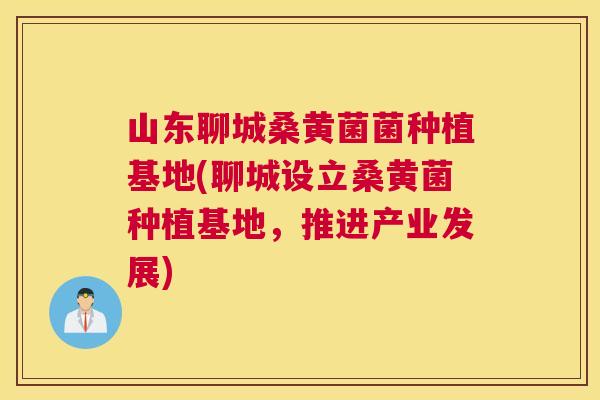 山东聊城桑黄菌菌种植基地(聊城设立桑黄菌种植基地,推进产业发展) 山东聊城桑黄菌菌种植基地(聊城设立桑黄菌种植基地,推进产业发展)
