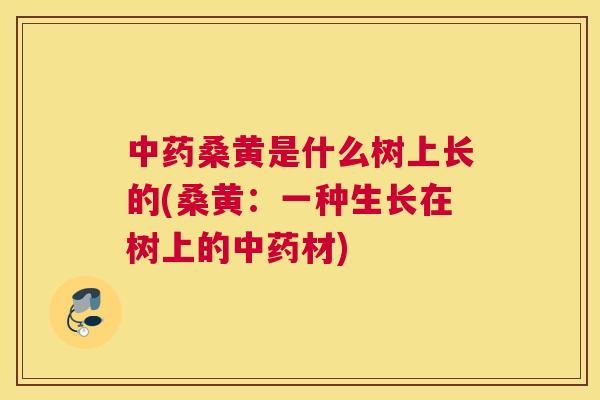 桑黄是什么树上长的(桑黄:一种生长在树上的材) 桑黄是什么树上长的(桑黄:一种生长在树上的材)