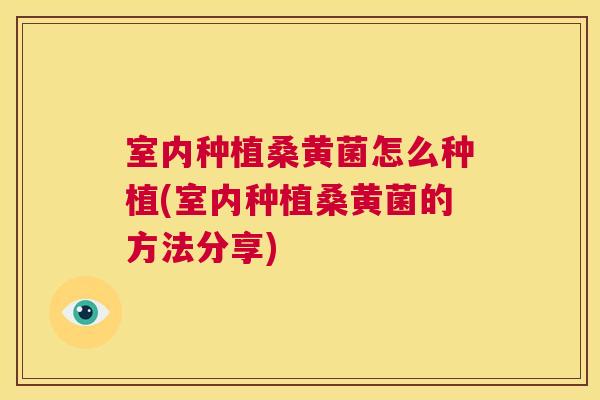 室内种植桑黄菌怎么种植(室内种植桑黄菌的方法分享) 室内种植桑黄菌怎么种植(室内种植桑黄菌的方法分享)
