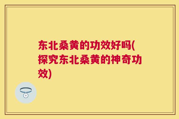 东北桑黄的功效好吗(探究东北桑黄的神奇功效) 东北桑黄的功效好吗(探究东北桑黄的神奇功效)