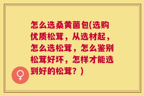怎么选桑黄菌包(选购优质松茸,从选材起,怎么选松茸,怎么鉴别松茸好坏,怎样才能选到好的松茸?) 怎么选桑黄菌包(选购优质松茸,从选材起,怎么选松茸,怎么鉴别松茸好坏,怎样才能选到好的松茸?)