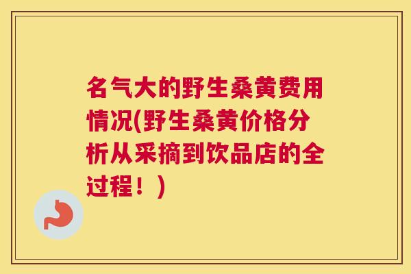 名气大的野生桑黄费用情况(野生桑黄价格分析从采摘到饮品店的全过程!) 名气大的野生桑黄费用情况(野生桑黄价格分析从采摘到饮品店的全过程!)