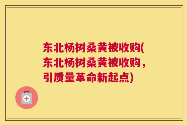 东北杨树桑黄被收购(东北杨树桑黄被收购,引质量革命新起点) 东北杨树桑黄被收购(东北杨树桑黄被收购,引质量革命新起点)
