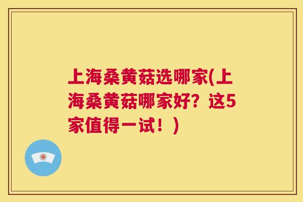 上海桑黄菇选哪家(上海桑黄菇哪家好?这5家值得一试!) 上海桑黄菇选哪家(上海桑黄菇哪家好?这5家值得一试!)