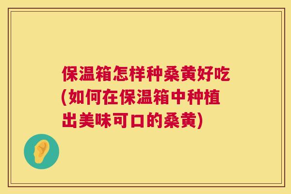 保温箱怎样种桑黄好吃(如何在保温箱中种植出美味可口的桑黄) 保温箱怎样种桑黄好吃(如何在保温箱中种植出美味可口的桑黄)
