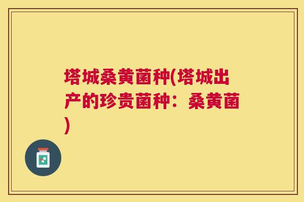 塔城桑黄菌种(塔城出产的珍贵菌种:桑黄菌) 塔城桑黄菌种(塔城出产的珍贵菌种:桑黄菌)