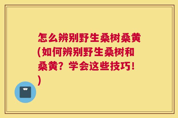 怎么辨别野生桑树桑黄(如何辨别野生桑树和桑黄?学会这些技巧!) 怎么辨别野生桑树桑黄(如何辨别野生桑树和桑黄?学会这些技巧!)