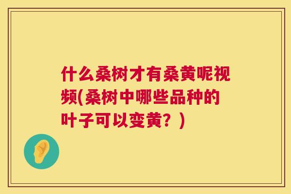 什么桑树才有桑黄呢视频(桑树中哪些品种的叶子可以变黄?) 什么桑树才有桑黄呢视频(桑树中哪些品种的叶子可以变黄?)