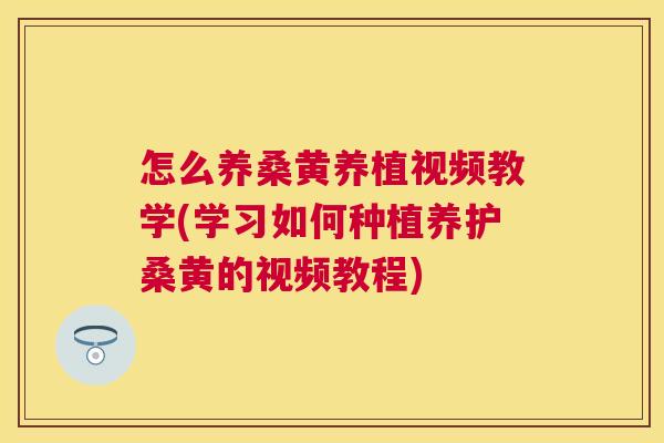 怎么养桑黄养植视频教学(学习如何种植养护桑黄的视频教程) 怎么养桑黄养植视频教学(学习如何种植养护桑黄的视频教程)