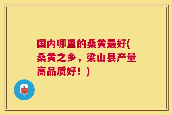 国内哪里的桑黄好(桑黄之乡,梁山县产量高品质好!) 国内哪里的桑黄好(桑黄之乡,梁山县产量高品质好!)