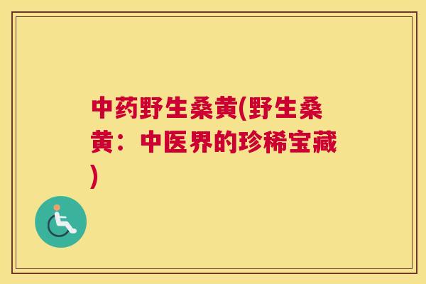 野生桑黄(野生桑黄:中医界的珍稀宝藏) 野生桑黄(野生桑黄:中医界的珍稀宝藏)