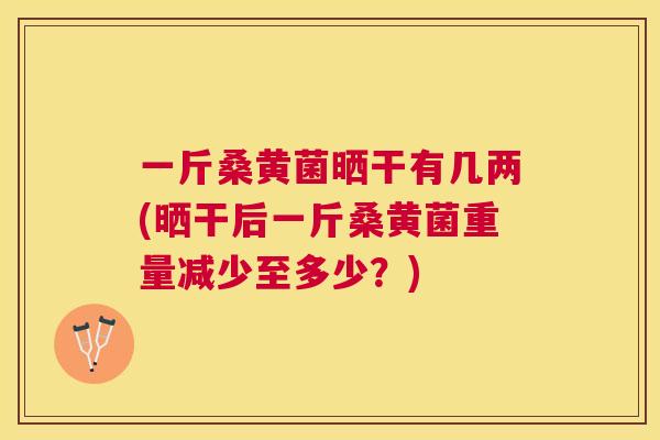 一斤桑黄菌晒干有几两(晒干后一斤桑黄菌重量减少至多少?) 一斤桑黄菌晒干有几两(晒干后一斤桑黄菌重量减少至多少?)