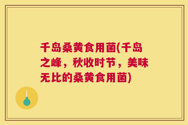 千岛桑黄食用菌(千岛之峰,秋收时节,美味无比的桑黄食用菌) 千岛桑黄食用菌(千岛之峰,秋收时节,美味无比的桑黄食用菌)