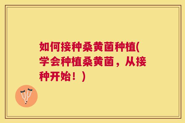 如何接种桑黄菌种植(学会种植桑黄菌,从接种开始!) 如何接种桑黄菌种植(学会种植桑黄菌,从接种开始!)