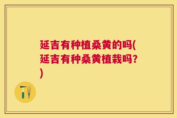 延吉有种植桑黄的吗(延吉有种桑黄植栽吗?) 延吉有种植桑黄的吗(延吉有种桑黄植栽吗?)
