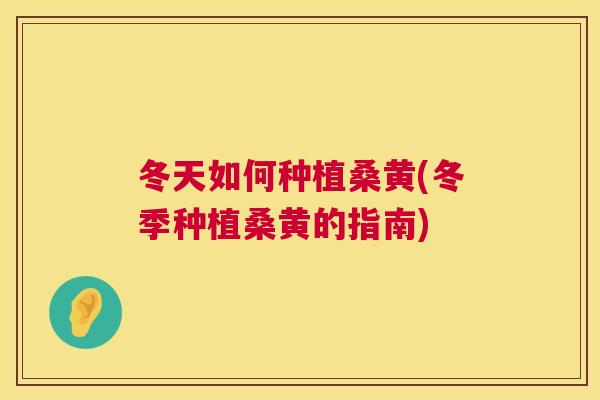 冬天如何种植桑黄(冬季种植桑黄的指南) 冬天如何种植桑黄(冬季种植桑黄的指南)