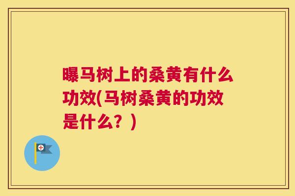 曝马树上的桑黄有什么功效(马树桑黄的功效是什么?) 曝马树上的桑黄有什么功效(马树桑黄的功效是什么?)