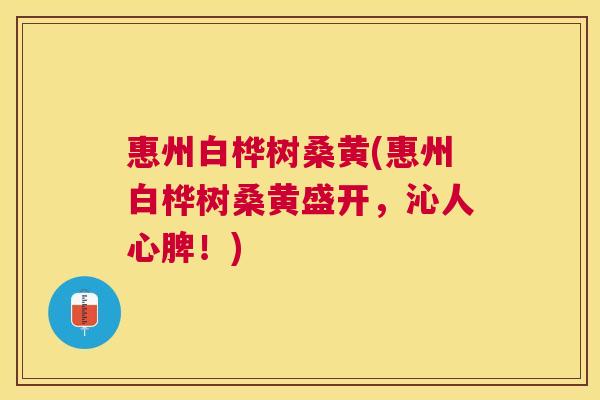 惠州白桦树桑黄(惠州白桦树桑黄盛开,沁人心脾!) 惠州白桦树桑黄(惠州白桦树桑黄盛开,沁人心脾!)