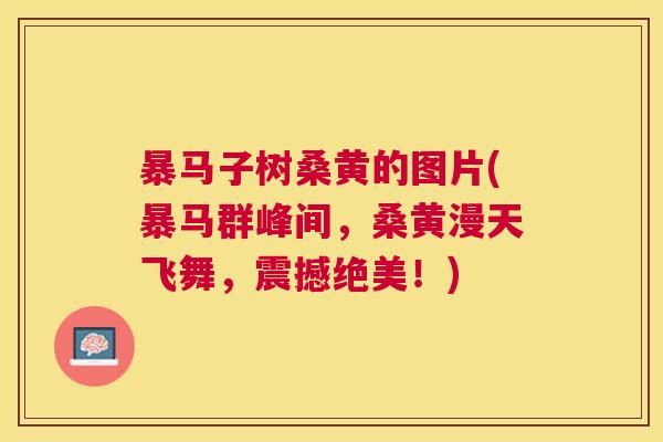 暴马子树桑黄的图片(暴马群峰间,桑黄漫天飞舞,震撼绝美!) 暴马子树桑黄的图片(暴马群峰间,桑黄漫天飞舞,震撼绝美!)