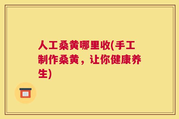 人工桑黄哪里收(手工制作桑黄,让你健康养生) 人工桑黄哪里收(手工制作桑黄,让你健康养生)