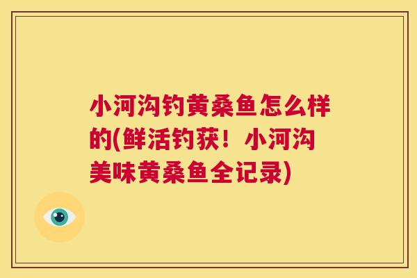 小河沟钓黄桑鱼怎么样的(鲜活钓获!小河沟美味黄桑鱼全记录) 小河沟钓黄桑鱼怎么样的(鲜活钓获!小河沟美味黄桑鱼全记录)
