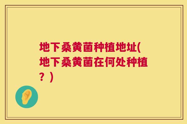 地下桑黄菌种植地址(地下桑黄菌在何处种植?) 地下桑黄菌种植地址(地下桑黄菌在何处种植?)