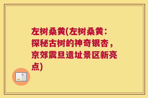 左树桑黄(左树桑黄：探秘古树的神奇银杏，京郊震旦遗址景区新亮点)
