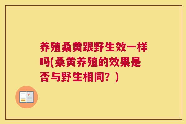 养殖桑黄跟野生效一样吗(桑黄养殖的效果是否与野生相同?) 养殖桑黄跟野生效一样吗(桑黄养殖的效果是否与野生相同?)
