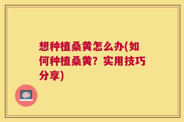 想种植桑黄怎么办(如何种植桑黄?实用技巧分享) 想种植桑黄怎么办(如何种植桑黄?实用技巧分享)