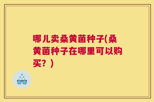 哪儿卖桑黄菌种子(桑黄菌种子在哪里可以购买?) 哪儿卖桑黄菌种子(桑黄菌种子在哪里可以购买?)