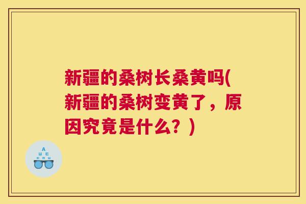 新疆的桑树长桑黄吗(新疆的桑树变黄了,原因究竟是什么?) 新疆的桑树长桑黄吗(新疆的桑树变黄了,原因究竟是什么?)