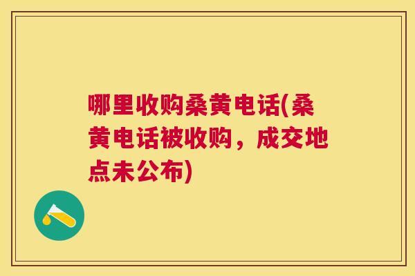 哪里收购桑黄电话(桑黄电话被收购,成交地点未公布) 哪里收购桑黄电话(桑黄电话被收购,成交地点未公布)