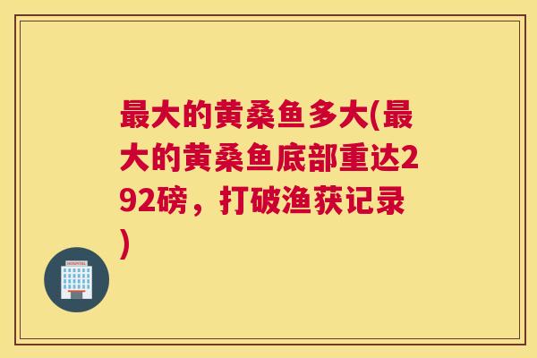 大的黄桑鱼多大(大的黄桑鱼底部重达292磅,打破渔获记录) 大的黄桑鱼多大(大的黄桑鱼底部重达292磅,打破渔获记录)