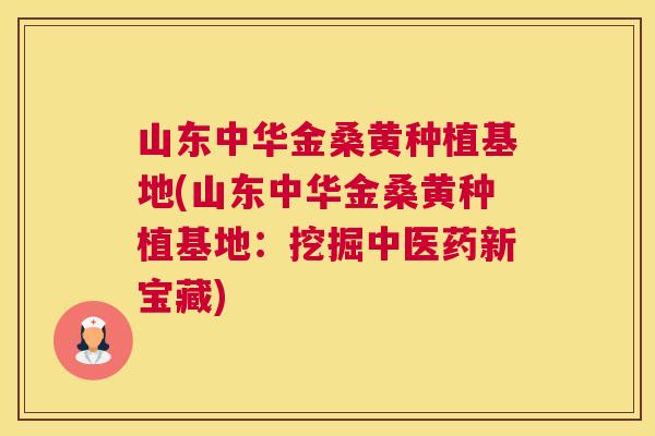 山东中华金桑黄种植基地(山东中华金桑黄种植基地:挖掘中医药新宝藏) 山东中华金桑黄种植基地(山东中华金桑黄种植基地:挖掘中医药新宝藏)