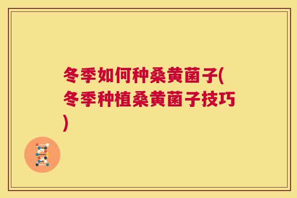 冬季如何种桑黄菌子(冬季种植桑黄菌子技巧) 冬季如何种桑黄菌子(冬季种植桑黄菌子技巧)