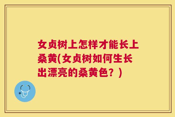 女贞树上怎样才能长上桑黄(女贞树如何生长出漂亮的桑黄色?) 女贞树上怎样才能长上桑黄(女贞树如何生长出漂亮的桑黄色?)