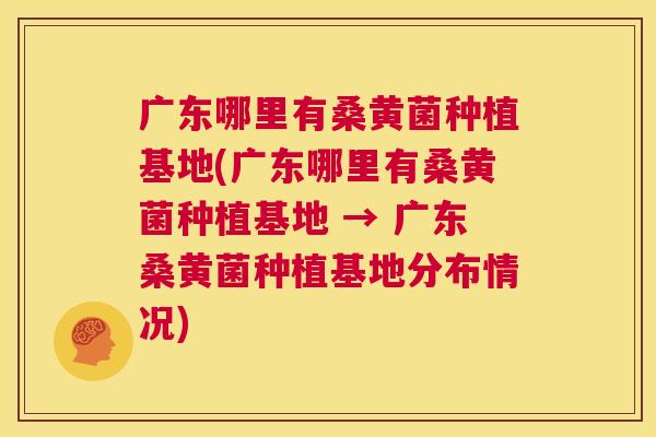 广东哪里有桑黄菌种植基地(广东哪里有桑黄菌种植基地 → 广东桑黄菌种植基地分布情况) 广东哪里有桑黄菌种植基地(广东哪里有桑黄菌种植基地 → 广东桑黄菌种植基地分布情况)