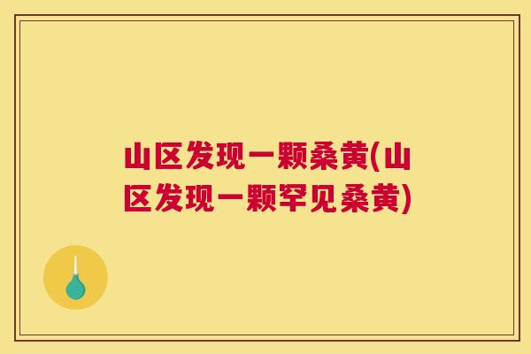 山区发现一颗桑黄(山区发现一颗罕见桑黄) 山区发现一颗桑黄(山区发现一颗罕见桑黄)