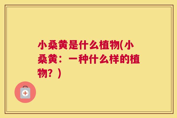 小桑黄是什么植物(小桑黄:一种什么样的植物?) 小桑黄是什么植物(小桑黄:一种什么样的植物?)