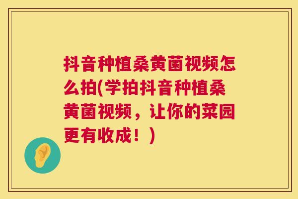 抖音种植桑黄菌视频怎么拍(学拍抖音种植桑黄菌视频，让你的菜园更有收成！)