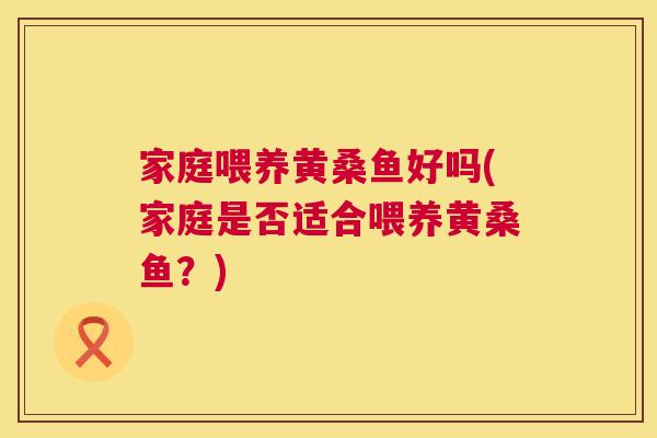 家庭喂养黄桑鱼好吗(家庭是否适合喂养黄桑鱼?) 家庭喂养黄桑鱼好吗(家庭是否适合喂养黄桑鱼?)