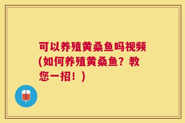 可以养殖黄桑鱼吗视频(如何养殖黄桑鱼?教您一招!) 可以养殖黄桑鱼吗视频(如何养殖黄桑鱼?教您一招!)